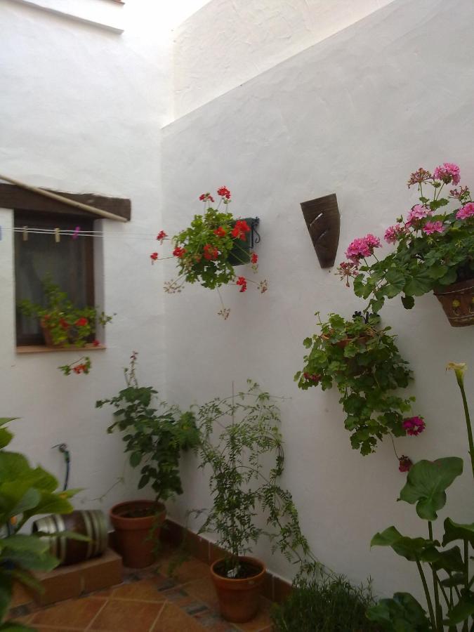 Casa Los Tres Aires เอลโรซิโอ ภายนอก รูปภาพ